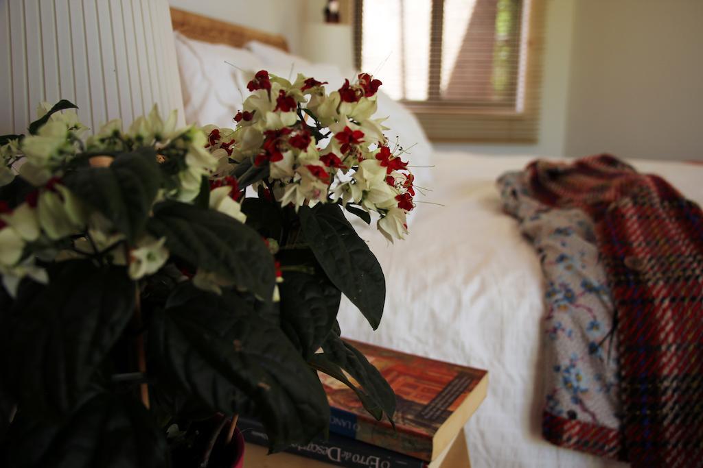 A Casa Da Arvore Bed & Breakfast Vila Nova de Milfontes Oda fotoğraf