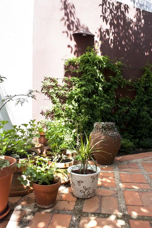 A Casa Da Arvore Bed & Breakfast Vila Nova de Milfontes Dış mekan fotoğraf